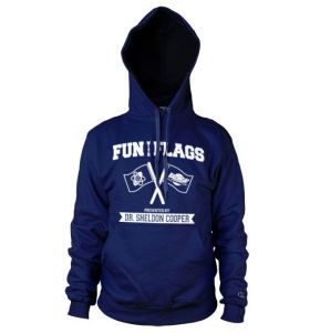 Fun With Flags Hoodie (Navy)