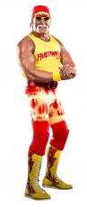 WWE HeroClix Expansion Pack: Hulk Hogan