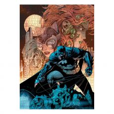 DC Comics Jigsaw Puzzle Batman Catwoman