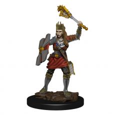 D&D Icons of the Realms Premium Miniature pre-painted Human Cleric Female Case (6)