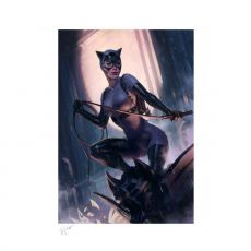 DC Comics Art Print Catwoman Variant 46 x 61 cm - unframed