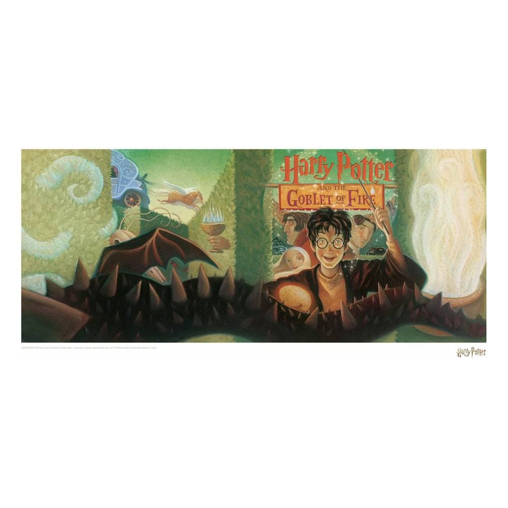 Harry Potter Art Print Goblet of Fire Book Cover Artwork Limited Edition 42 x 30 cm FaNaTtik