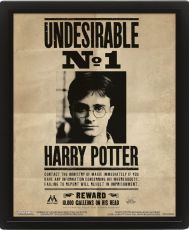 Harry Potter Framed 3D Effect Poster Pack Potter / Sirius 26 x 20 cm (3)