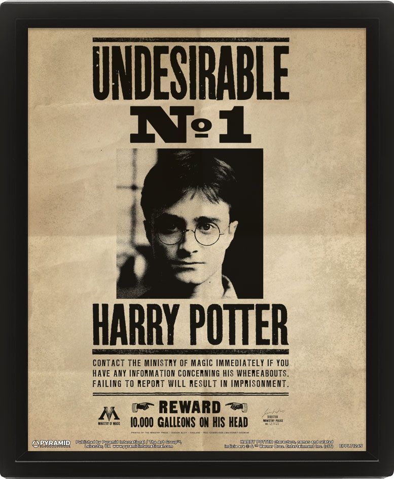 Harry Potter Framed 3D Effect Poster Pack Potter / Sirius 26 x 20 cm (3) Pyramid International