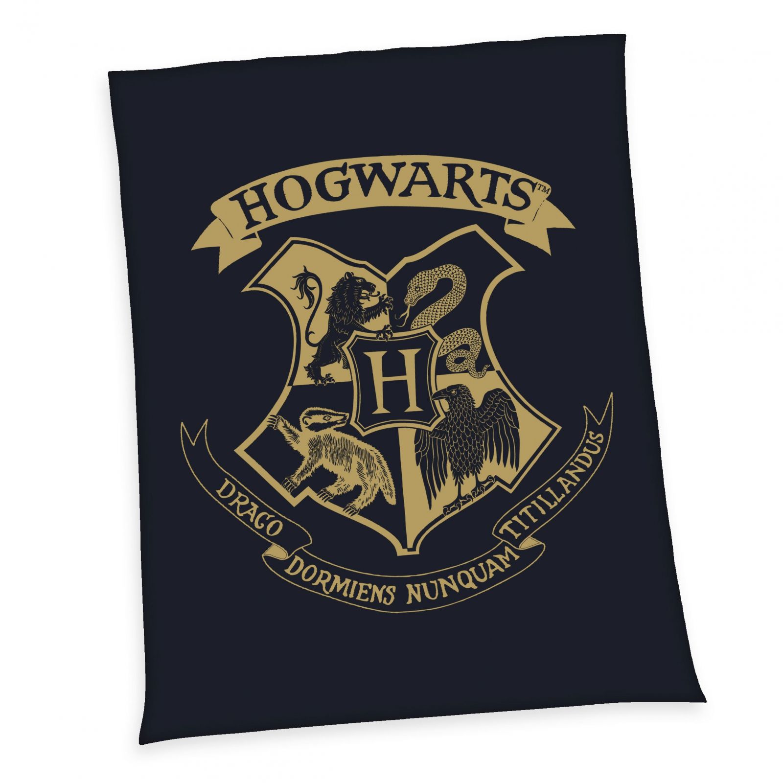 Harry Potter Fleece Blanket Hogwarts 150 x 200 cm Herding