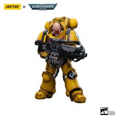 Warhammer 40k Action Figure 1/18 Imperial Fists Heavy Intercessors 02 13 cm Joy Toy (CN)