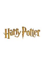 Harry Potter Advent Calendar Wizarding World Deluxe 2023