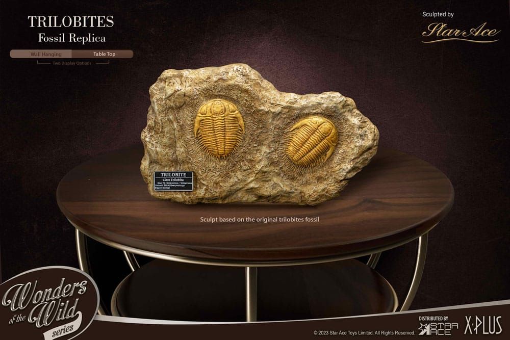 Wonders of the Wild Series Statue 1/1 Trilobites Miniature Frame & Fossil 15 cm Star Ace Toys