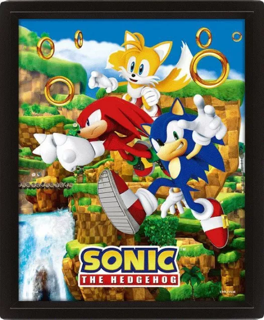 Sonic The Hedgehog 3D Lenticular Poster Catching Rings 26 x 20 cm Pyramid International