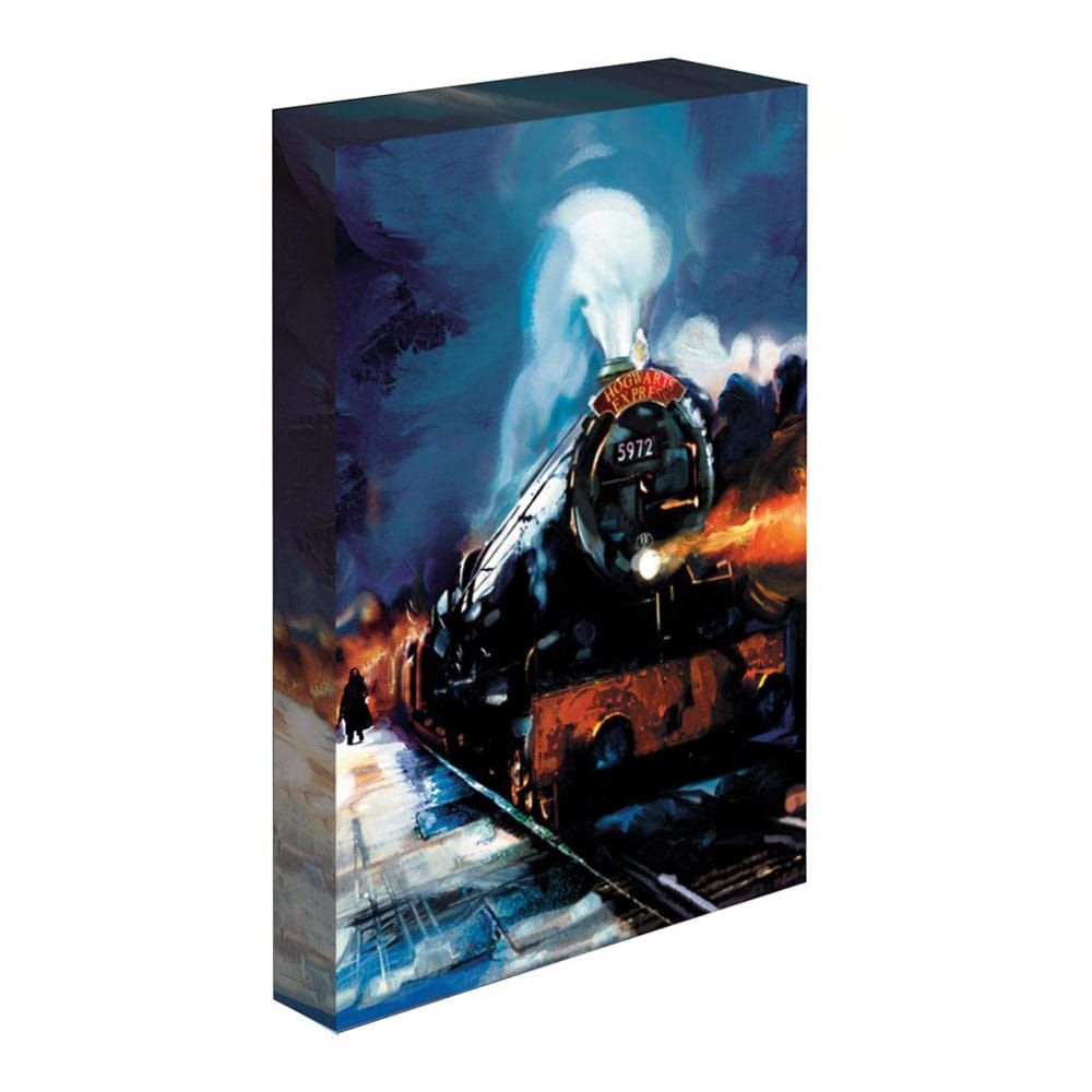 Harry Potter Canvas Print Hogwarts Express 30 x 40cm Pyramid International