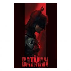 DC Comics Poster Pack Batman Out of the Shadows 61 x 91 cm (4)