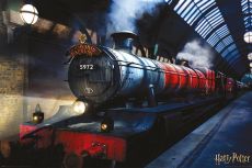 Harry Potter Poster Pack Hogwarts Express 61 x 91 cm (4)