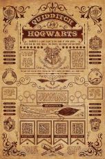 Harry Potter Poster Pack Quidditch at Hogwarts 61 x 91 cm (4)