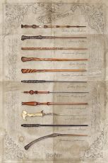 Harry Potter Poster Pack The Wand chooses the Wizzard 61 x 91 cm (4)