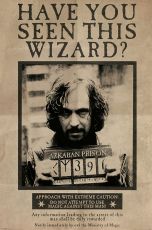 Harry Potter Poster Pack Wanted Sirius 61 x 91 cm (4)