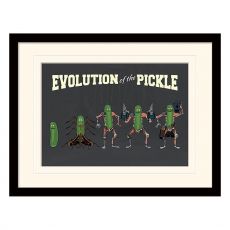 Rick and Morty Collector Print Framed Poster Evolution of the Pickle (white background)