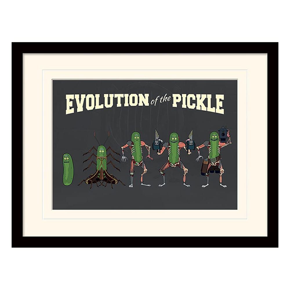 Rick and Morty Collector Print Framed Poster Evolution of the Pickle (white background) Pyramid International