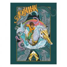 Aquaman and the lost Kingdom Canvas Print Epic Vintage 60 x 80 cm