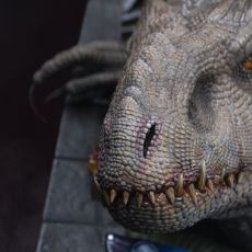 Jurassic World Bust Indominus Rex 27 cm Doctor Collector
