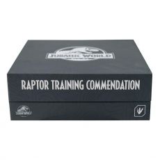 Jurassic World Pin Badge 3-Pack Raptor Training Commendation Limited Edition FaNaTtik