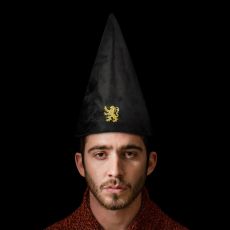 Harry Potter Student Hat Gryffindor 32 cm Cinereplicas