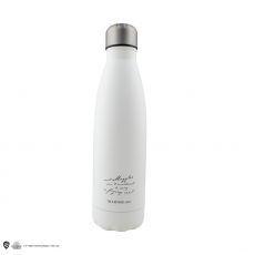 Harry Potter Thermo Water Bottle Journey to Hogwarts Cinereplicas