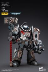 Warhammer 40k Action Figure 1/18 Grey Knights Terminator Caddon Vibova 13 cm Joy Toy (CN)