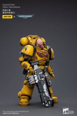 Warhammer 40k Action Figure 1/18 Imperial Fists Heavy Intercessors 02 13 cm Joy Toy (CN)