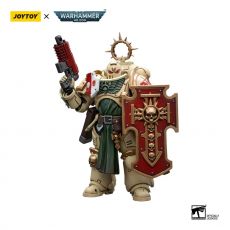 Warhammer 40k Action Figure 1/18 Dark Angels Bladeguard Veteran 12 cm Joy Toy (CN)