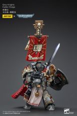 Warhammer 40k Action Figure 1/18 Grey Knights Kaldor Draigo 12 cm Joy Toy (CN)