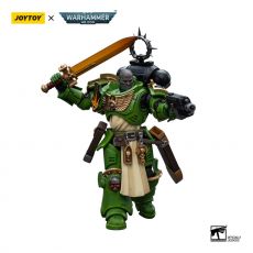 Warhammer 40k Action Figure 1/18 Salamanders Bladeguard Veteran 12 cm Joy Toy (CN)