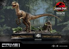 Jurassic Park Statue 1/6 Velociraptor 41 cm Prime 1 Studio