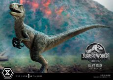 Jurassic World: Fallen Kingdom Prime Collectibles Statue 1/2 Baby Blue 34 cm Prime 1 Studio