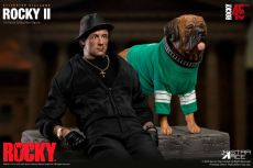 Rocky II My Favourite Movie Action Figure 1/6 Rocky Balboa Deluxe Ver. 30 cm Star Ace Toys