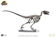 Jurassic Park Statue 1/4 Raptor Skeleton Bronze 46 cm Toynami