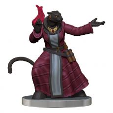 Critical Role pre-painted Miniatures The Tombtakers Boxed Set Wizkids