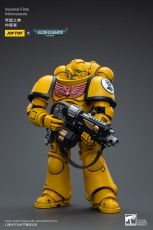 Warhammer 40k Action Figure 1/18 Imperial Fists Intercessors 12 cm Joy Toy (CN)