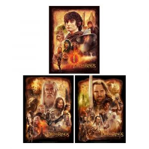Lord of the Rings Set of 3 Art Prints The Fellowship of the Ring 46 x 61 cm - unframed